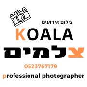 קואלה צלמים